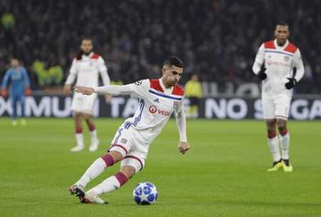 的科学指导 的科学指导